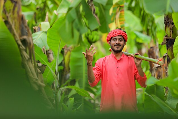 Młody indyjski rolnik na polu bananów