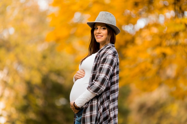 Młody kobieta w ciąży w jesień parku