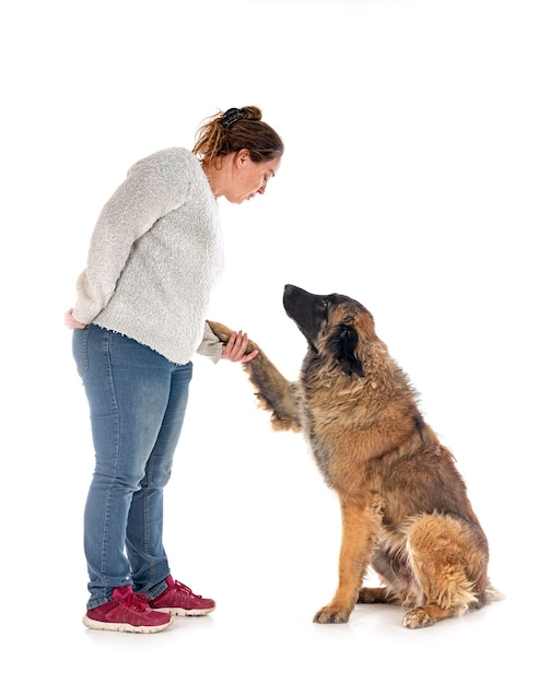 Młody Leonberger i właściciel na białym tle