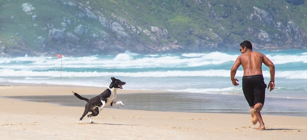 Młody mężczyzna bawi się z psem na plaży w słoneczny dzień