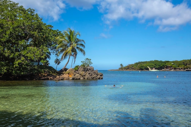 Młody Mężczyzna Odpoczywał W Wodzie W West End Beach Na Wyspie Roatan Honduras