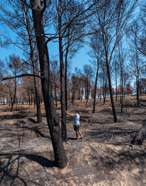 Młody mężczyzna w lesie spłonął w pożarze lasu, zmiana klimatu susza latem