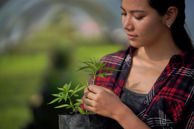 Zdjęcie młody naukowiec bada i eksperymentuje z uprawą konopi. do leczenia chorób w szklarni do sadzenia sadzonek, koncepcje edukacyjne