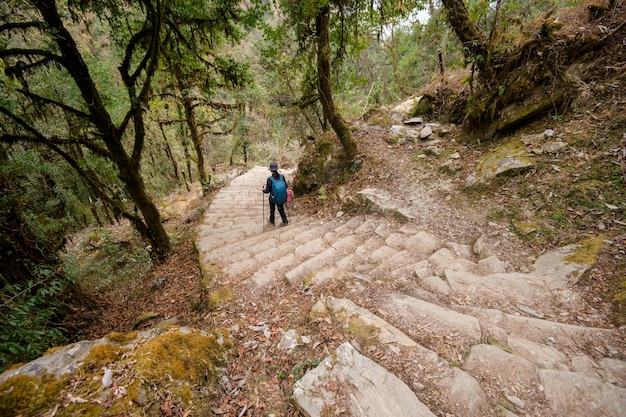 Młody Podróżnik Trekking Leśnym Szlakiem Nepalu