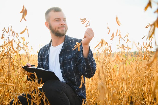 Zdjęcie młody przystojny rolnik lub agronom bada dojrzewanie soi na polu przed zbiorami