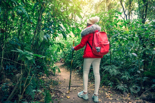 Młodzi ludzie chodzi na szczycie w Doi Inthanon, Chiang Mai, Tajlandia