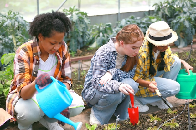Młodzi, różnorodni ludzie lubią aktywność na plantacjach w gospodarstwie ekologicznym