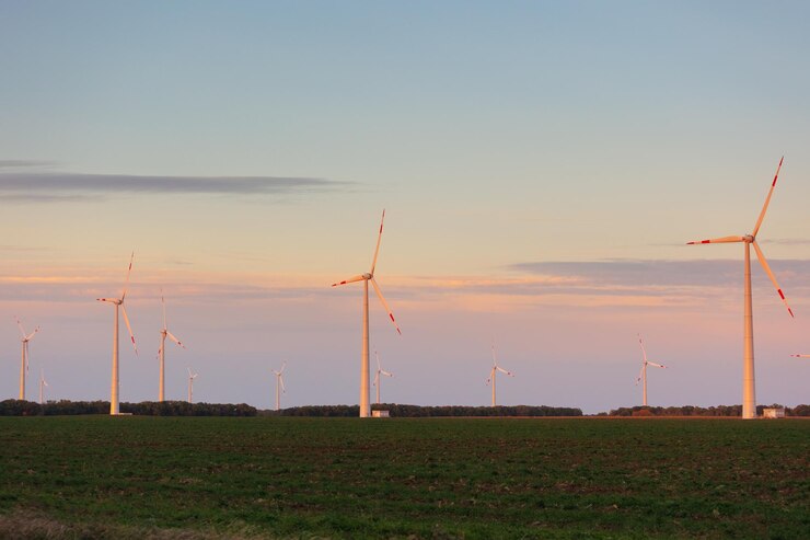 Zdjęcie młyny wiatrowe na polu na tle nieba podczas zachodu słońca