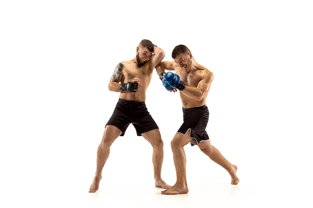 MMA Dwóch profesjonalnych wojowników uderzających lub bokserskich na białym tle studia
