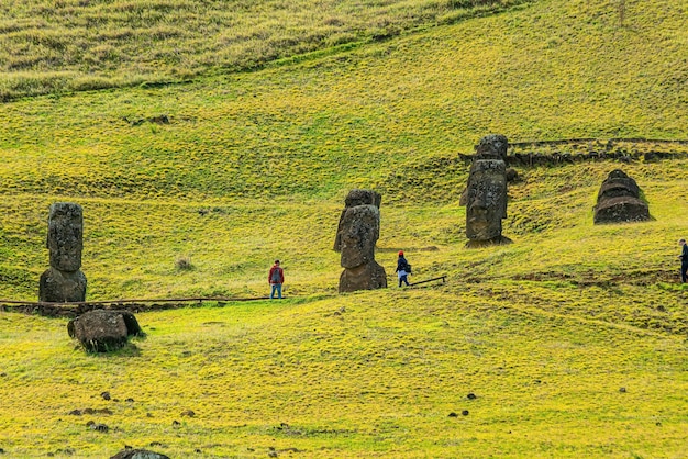 Moai na zboczu wzgórza w Rano Raraku