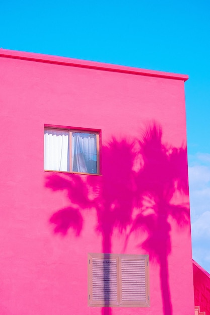 Moda tropikalna minimalna lokalizacja Pink Hotel i cienie palm