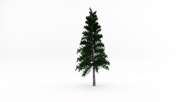 Model 3D Drzewo z białym tłem