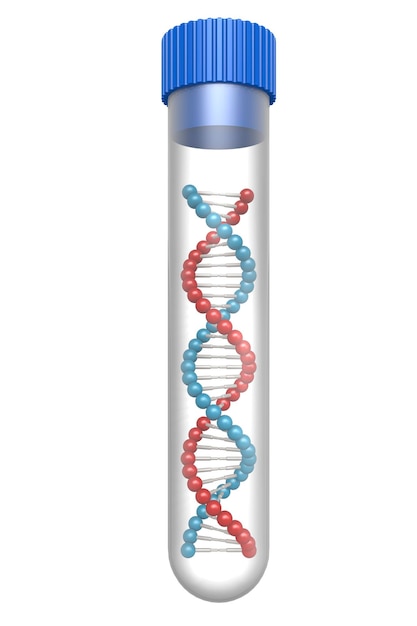 Model DNA w probówce