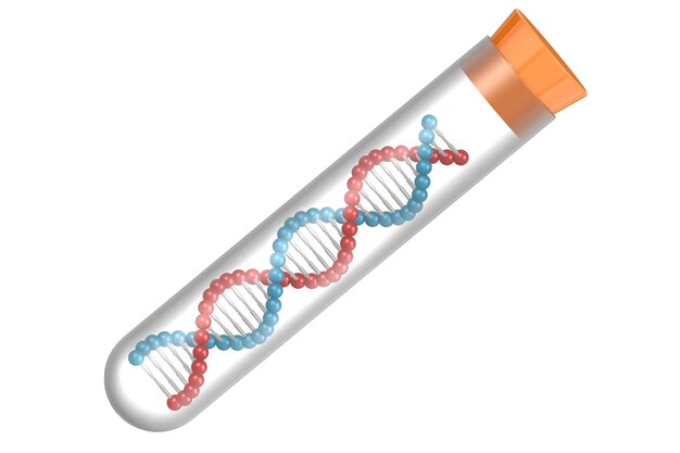 Model DNA w probówce
