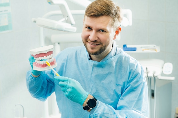 Model Ludzkiej Szczęki Z Zębami I Szczoteczką Do Zębów W Dłoni Dentysty.