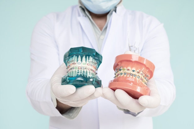 Model ortodontyczny i narzędzie dentystyczne - model zębów demonstracyjnych o zróżnicowanych kształtach ortodontycznych
