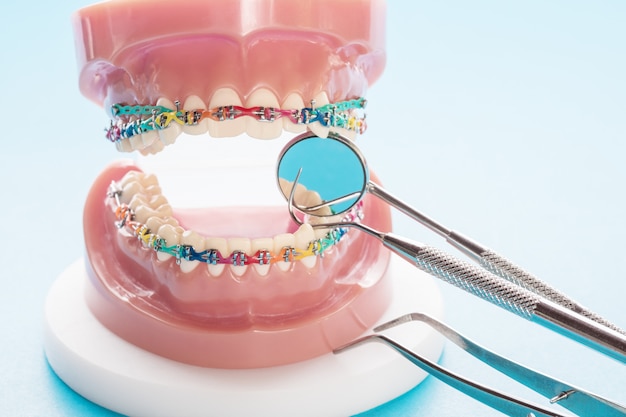 Model ortodontyczny i narzędzie dentystyczne - model zębów demonstracyjnych