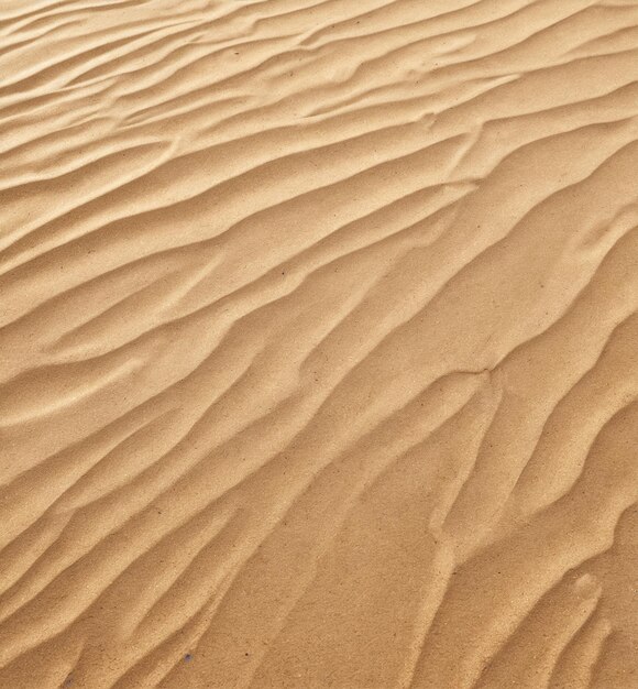 model plaży tło wydma piaskowa na pustyni Sahary