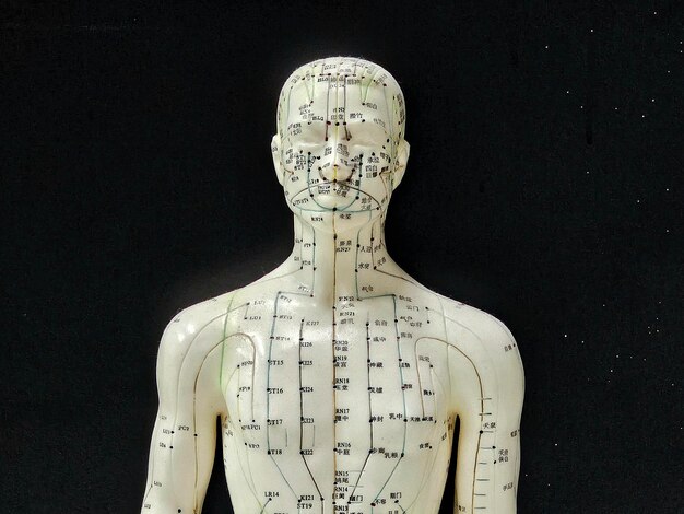 Zdjęcie model punktów akupunktury na ciemnym tle