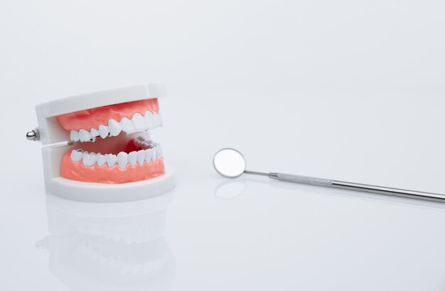 Model Szczęki I Narzędzie Dentystyczne. Koncepcja Leczenia Zębów