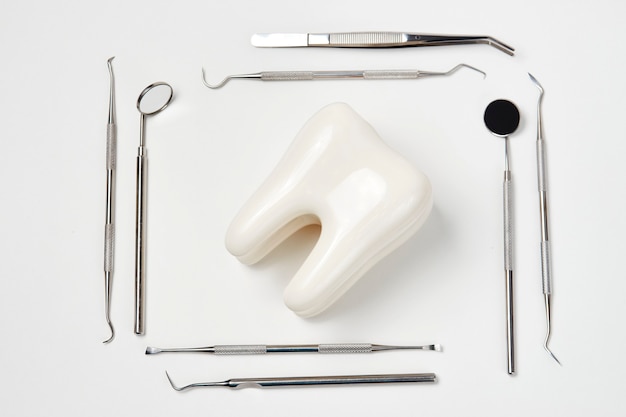 Model zęba dentystycznego z narzędziami sprzęt stomatologiczny do zębów opieki stomatologicznej na białym tle z miejsca kopiowania, zbliżenie. Koncepcja higieny jamy ustnej
