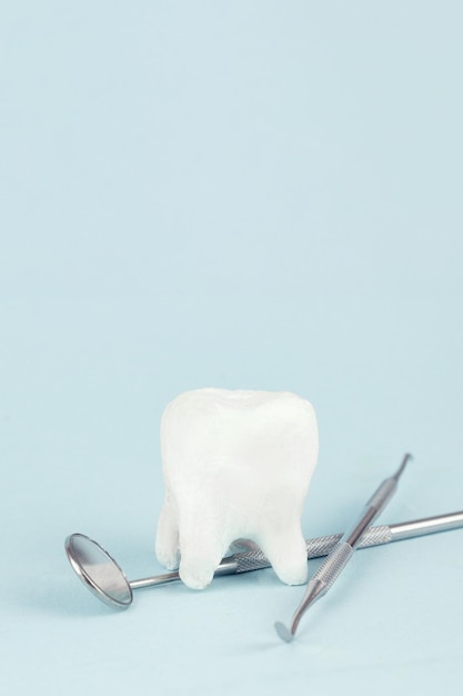 Model zęba i profesjonalne narzędzia dentystyczne sprzęt medyczny zęby będą zdrowe