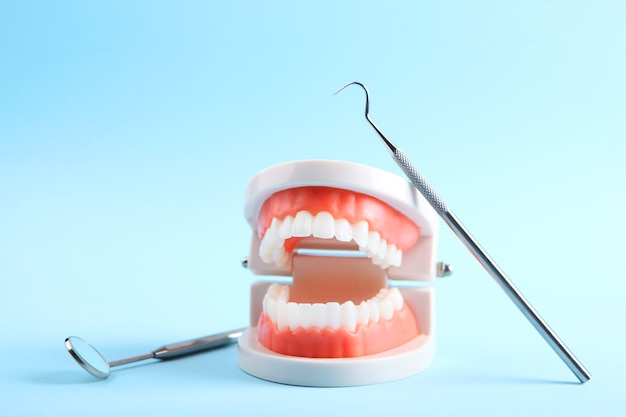 Model zębów i narzędzi dentystycznych oraz produktów do pielęgnacji zębów