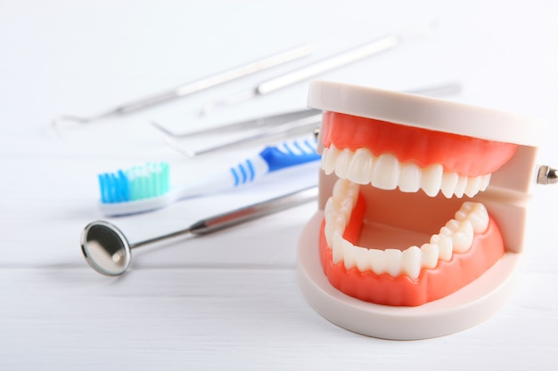 Model zębów i narzędzi dentystycznych oraz produktów do pielęgnacji zębów