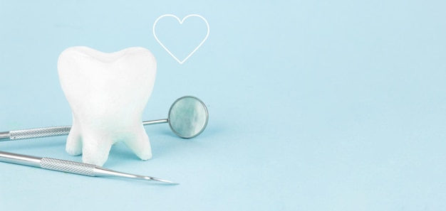 Model zębów i narzędzi sprzętu medycznego dentysty na niebieskim tle Higiena jamy ustnej Koncepcja leczenia Narzędzia dentystyczne Sprzęt dentystyczny