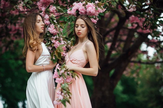 Modna dama pozuje w pobliżu kwitnącego drzewa. Twin Girls Uroda i moda damska.