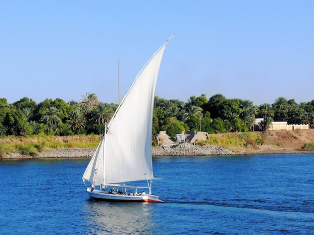 Moja Felucca, stara egipska żaglówka płynąca po Nilu