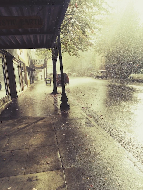 Zdjęcie mokra ścieżka przez ulicę w czasie monsunów