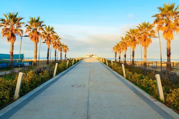 Molo w Lido di Camaiore