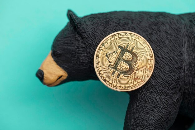 Moneta kryptowaluty Bitcoin z niedźwiedziem grizzly. Niedźwiedzi handel bitcoinami.
