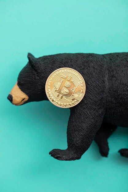 Moneta kryptowaluty Bitcoin z niedźwiedziem grizzly. Niedźwiedzi handel bitcoinami.