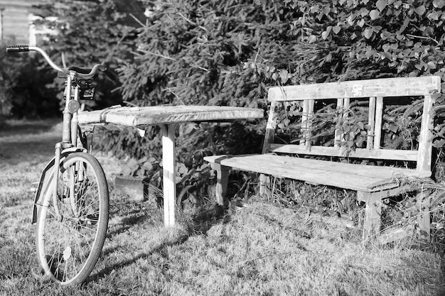 Monochromatyczny rower fotograficzny na wiejskiej przyrodzie