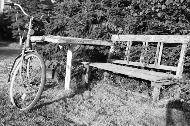 Monochromatyczny rower fotograficzny na wiejskiej przyrodzie