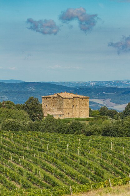 Montalcino