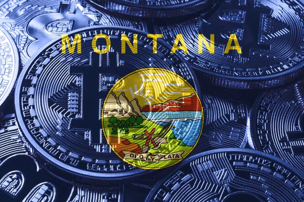 Montana flaga bitcoin, tło koncepcji kryptowaluty Montana