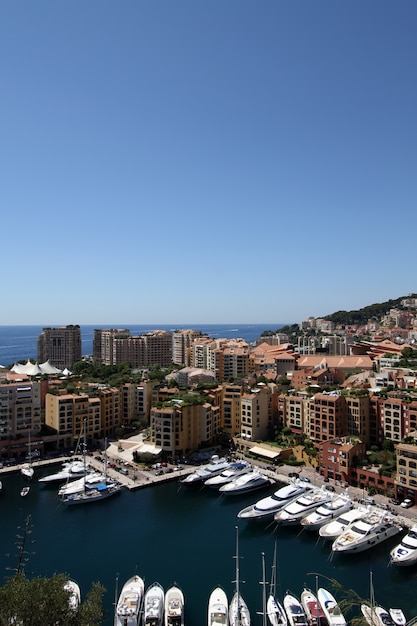 Monte Carlo