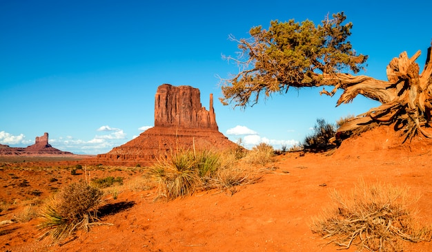 Monument Valley