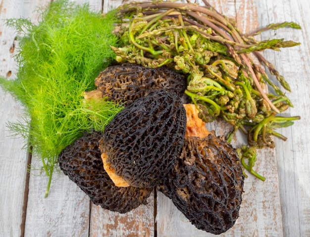 Morel grzyby Morchella dziki koper włoski Foeniculum dziki szparagi i orlica Pteridium aquilinum