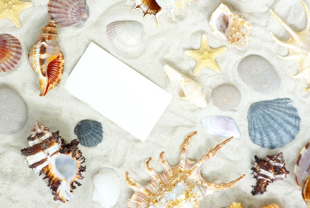 Morskie gwiazdy i muszle pusta pocztówka na piaskach