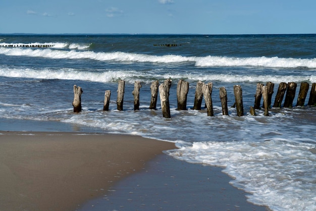 Zdjęcie morze bałtyckie i drewniane falochrony na plaży mierzei kurońskiej w regionie kaliningradu w rosji