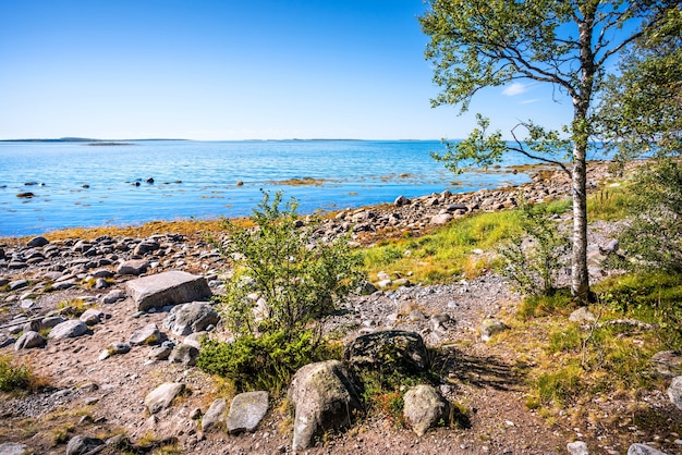 Zdjęcie morze białe na wyspach sołowieckich, kamienie na brzegu i kamień negocjacyjny