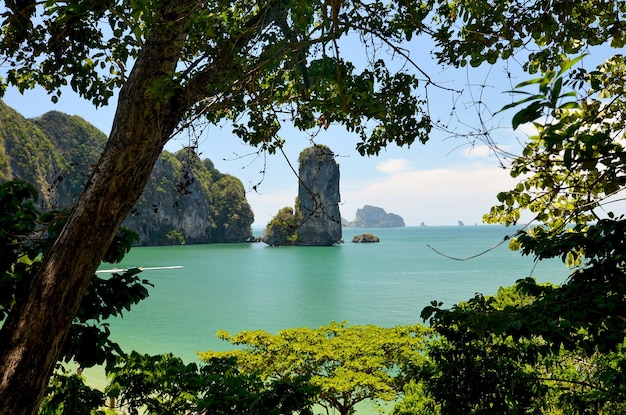 Morze i wyspa Tajlandia Prowincja Krabi AO Nang Krajobraz morski drzewa tropikalne Zatoka i zielona wyspa