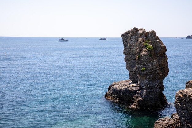 Morze Śródziemne i samotne drzewo na kamieniu wioska Portofino na włoskiej Riwierze