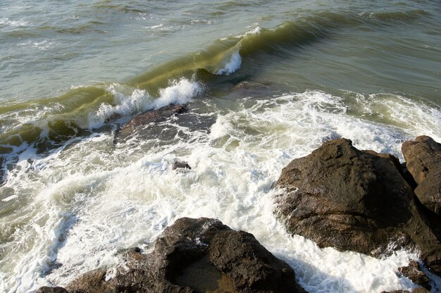 Morze Surfuje Wielkie Fale Na Wybrzeżu