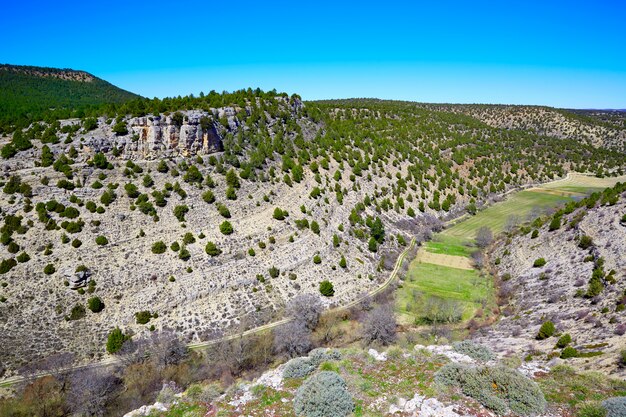 Moscardon La Canada Sierra Albarracin w Teruel