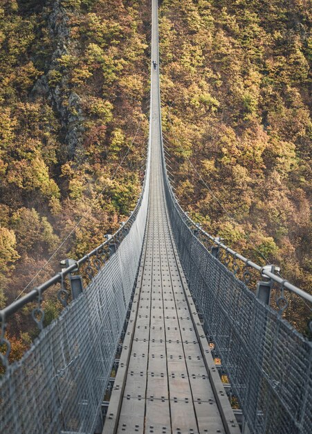 Zdjęcie most dla pieszych w lesie jesienią